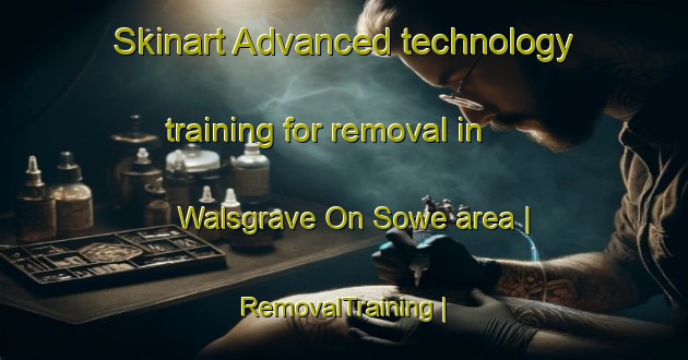 Skinart Advanced technology training for removal in Walsgrave On Sowe area | RemovalTraining | RemovalClasses | SkinartTraining-United Kingdom